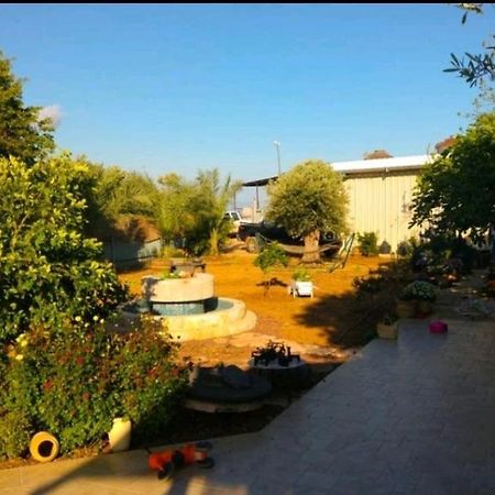 בחצר של טובה Lejlighed Hazon Eksteriør billede