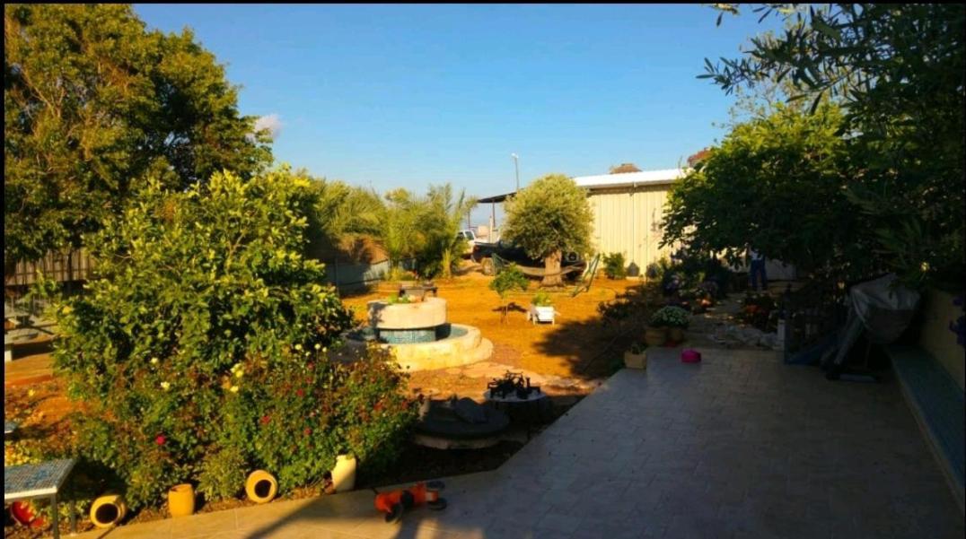 בחצר של טובה Lejlighed Hazon Eksteriør billede